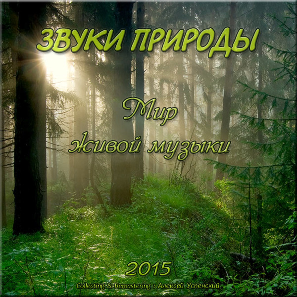 Давайте звуки природы. Звуки природы. Звуки природы альбом. Природные звуки. Лучшие звуки природы.