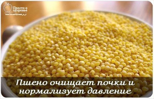 Пшено очищает почки и нормализует высокое давление.